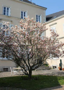 Maison Magnificat de Ligueil