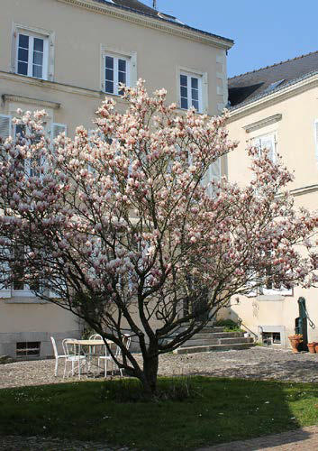 Maison Magnificat de Ligueil