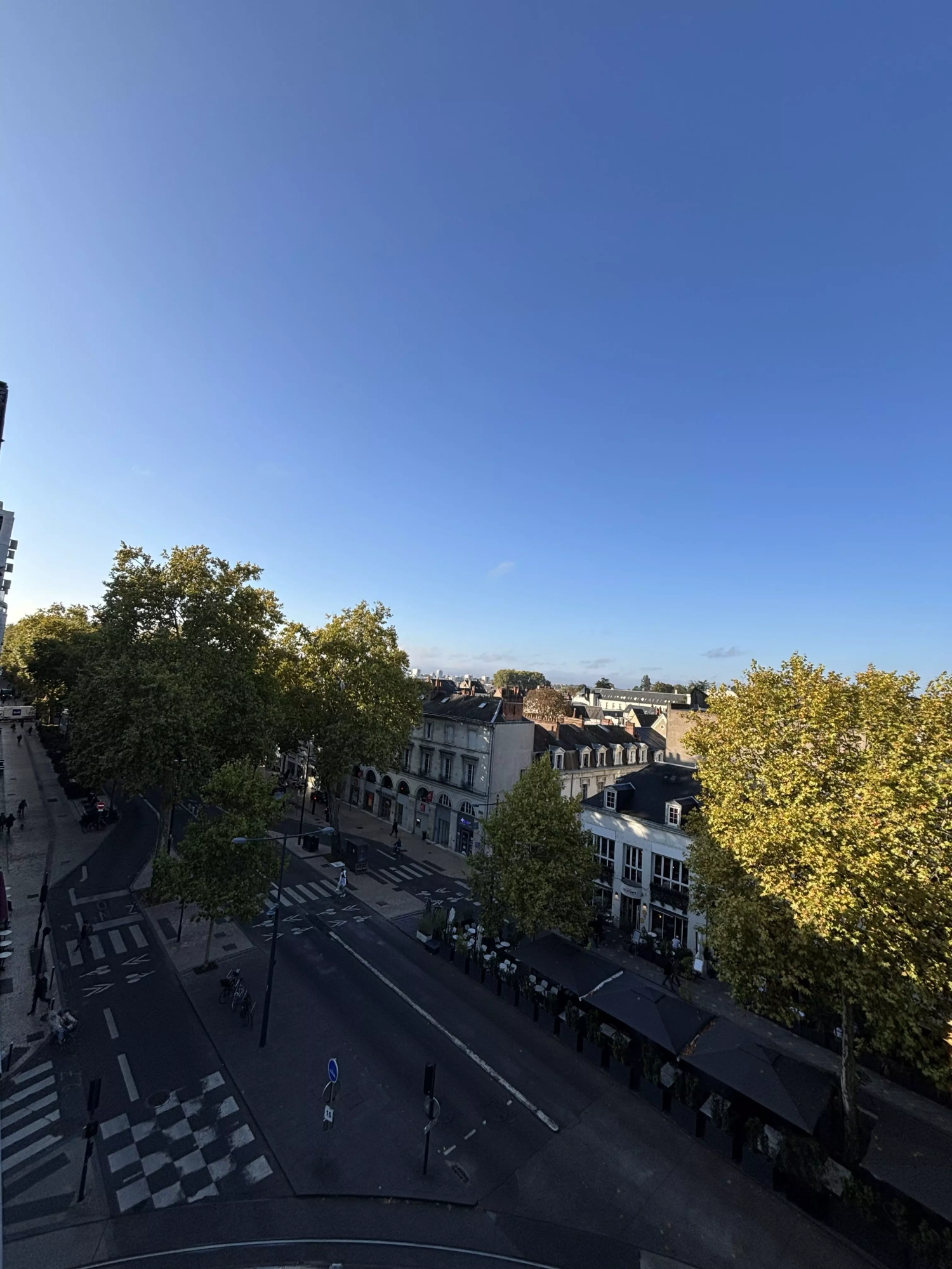 Nouvelles arrivées à Tours